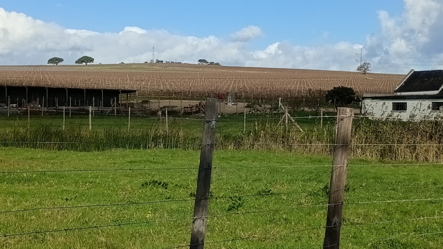 5 Bedroom Property for Sale in Stellenbosch Farms Western Cape